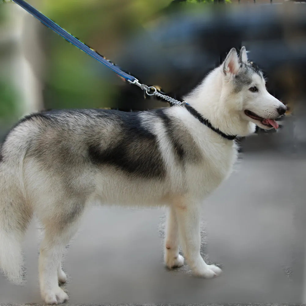 Adjustable Collar for Large Dogs