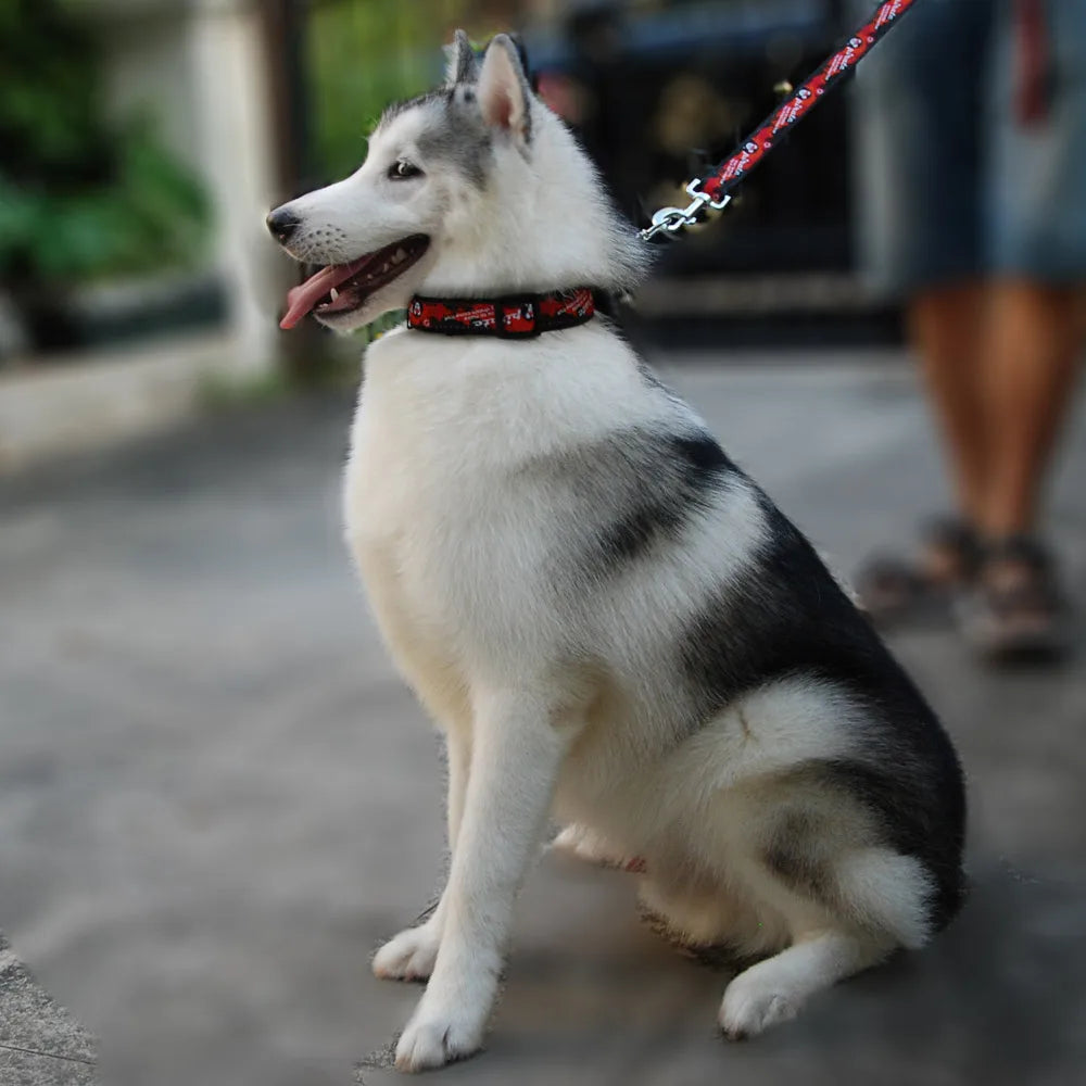 Adjustable Collar for Large Dogs