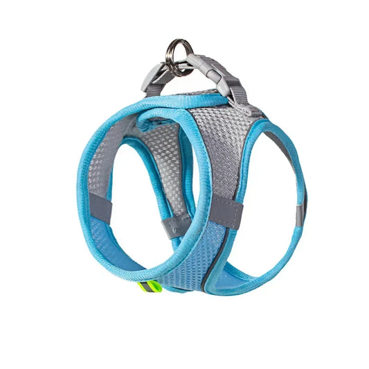 Dog Harness Leash Set for Small Dogs