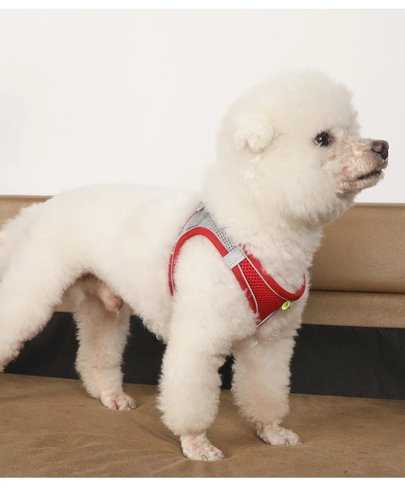 Dog Harness Leash Set for Small Dogs