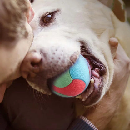 Bite Resistant Bouncy Ball Toys