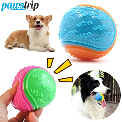 Bouncy Chew Ball Molar Toy