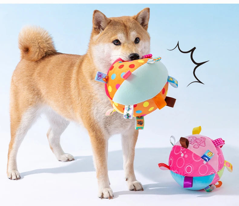 Interactive Pet Dog Toys