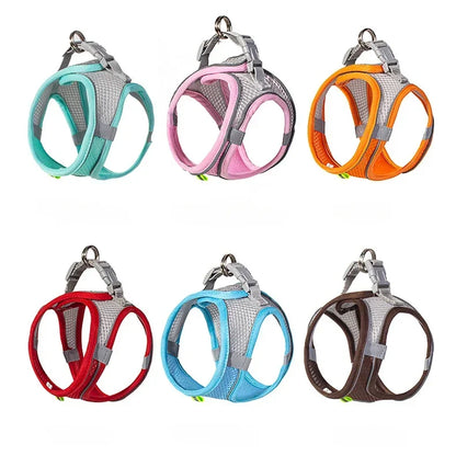 Dog Harness Leash Set for Small Dogs