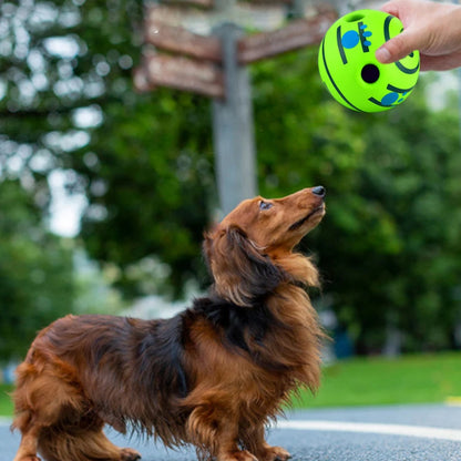 Bite-resistant Dog Toy