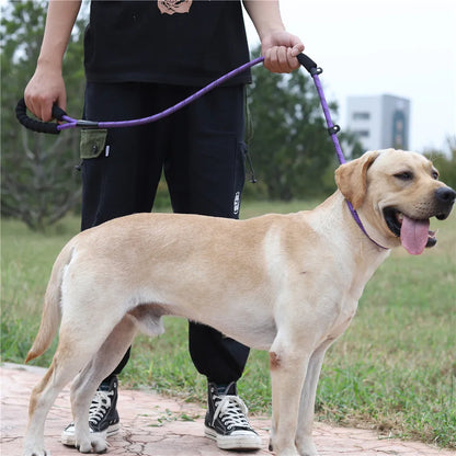 1.6M Reflective Rope Dog Lead Leash