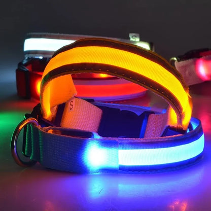 Luminous Led Dog Collar