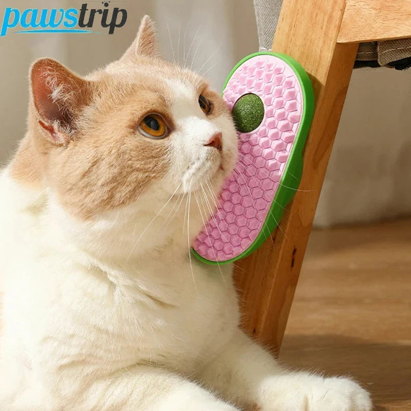 Pasteable Pet Comb Brush