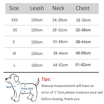 Dog Harness Leash Set for Small Dogs