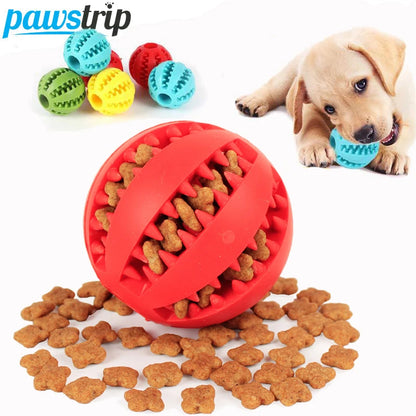 Interactive Elasticity Ball Dog Chew Toy