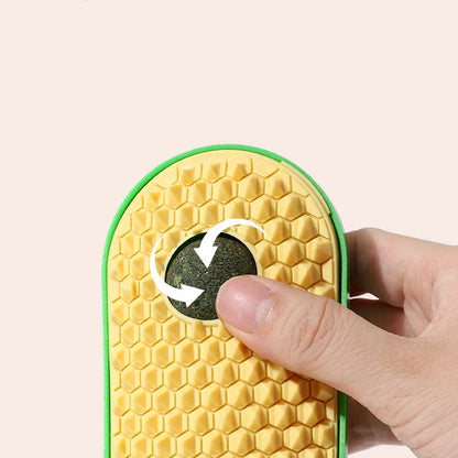 Pasteable Pet Comb Brush