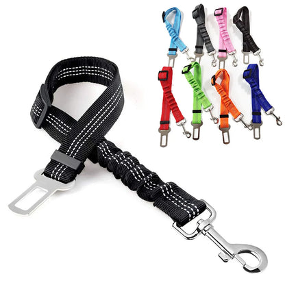 Elastic Reflective Safety Rope for small Dogs