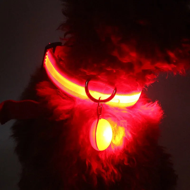 Luminous Led Dog Collar