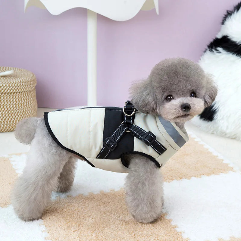 Pet Dog Coat Jacket with D-Ring