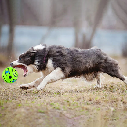 Bite-resistant Dog Toy