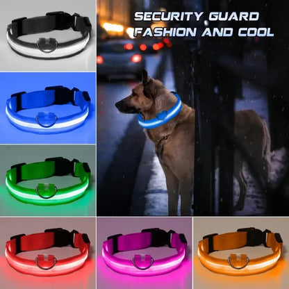 Luminous Led Dog Collar