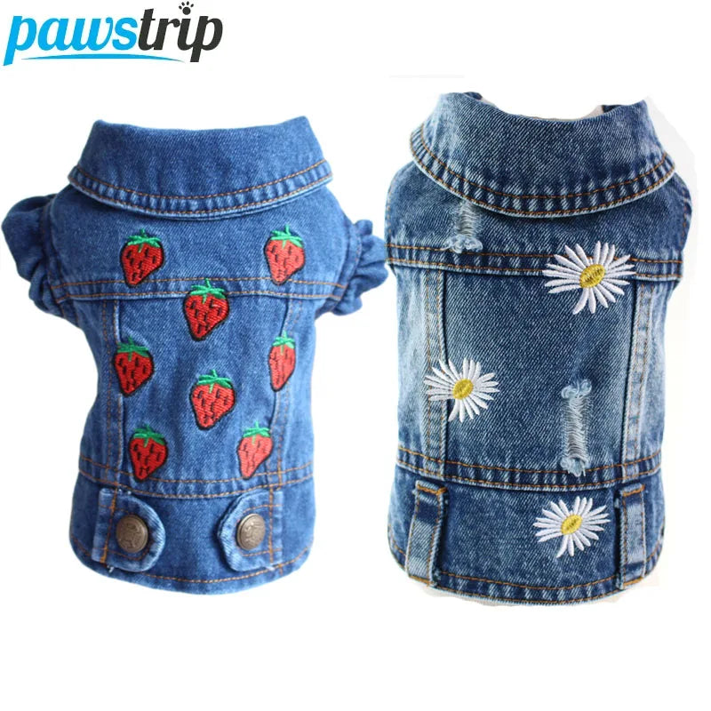 Clothing for Small Dogs Jeans Jacket