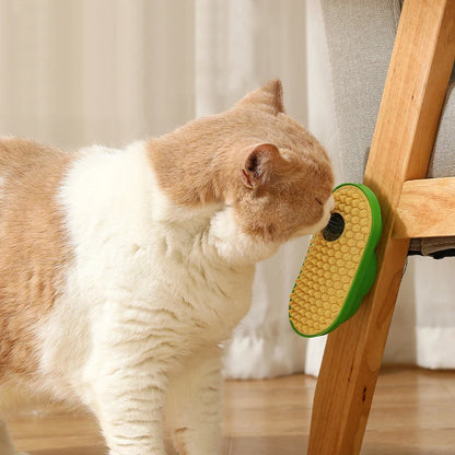 Pasteable Pet Comb Brush