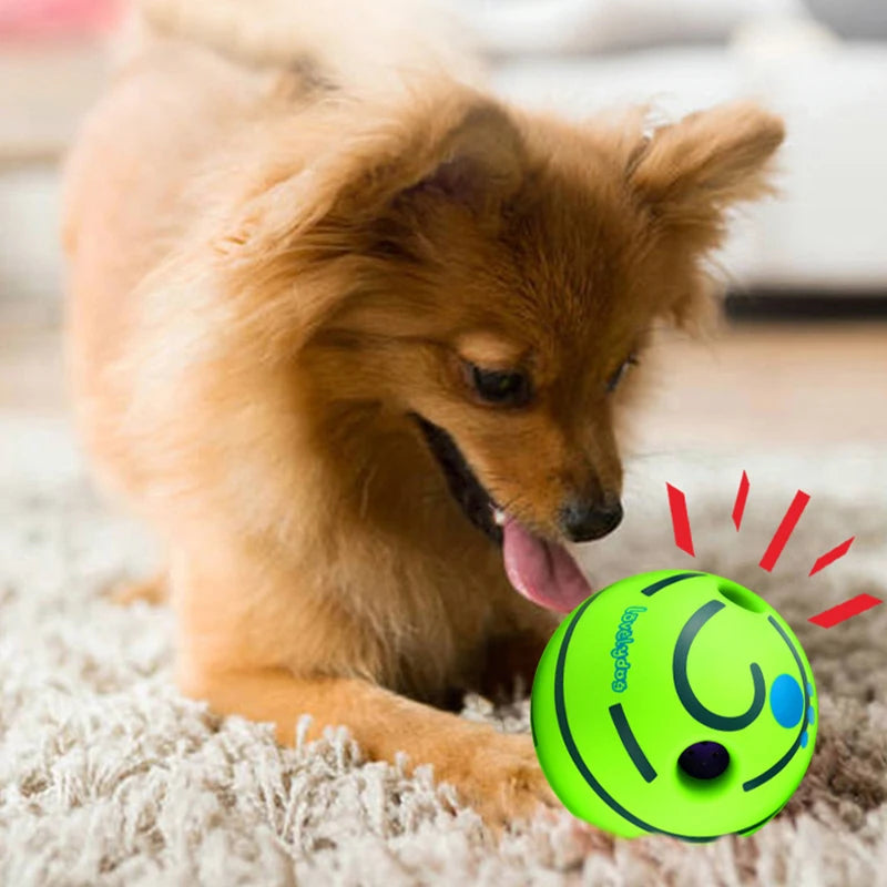 Bite-resistant Dog Toy