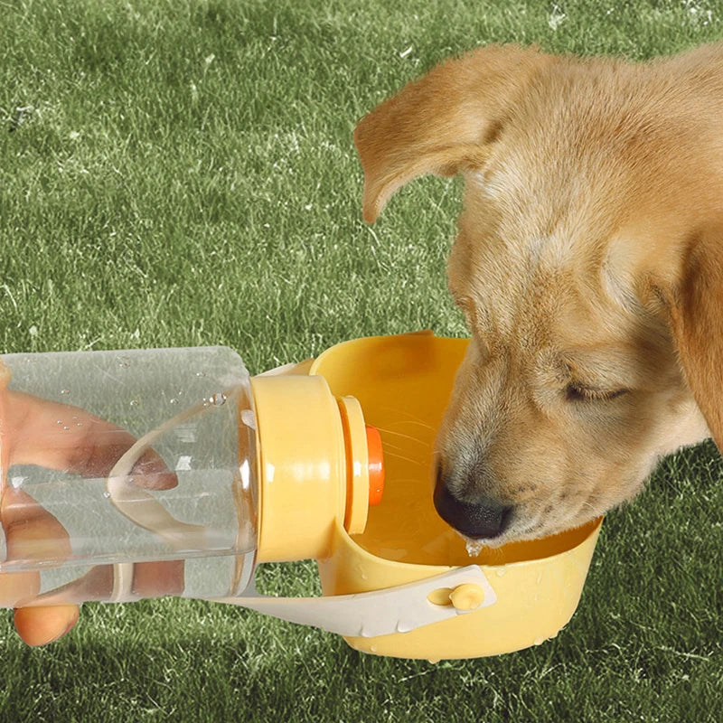 Outdoor Pet Water Dispenser for Cats Dogs