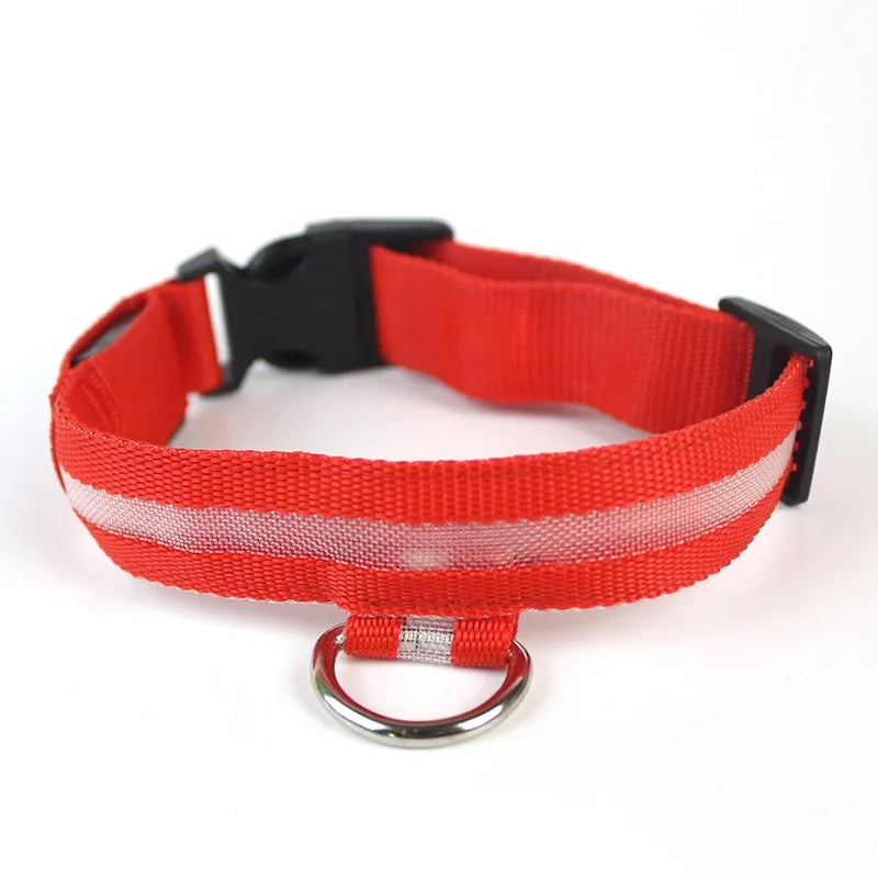 Luminous Led Dog Collar