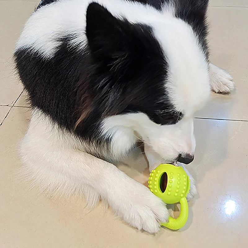 Chew Toys Leaking Food Ball