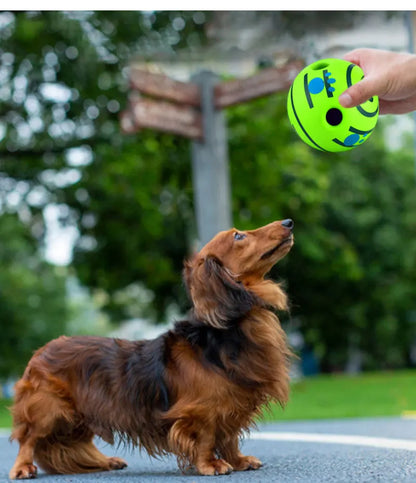 Bite-resistant Dog Toy